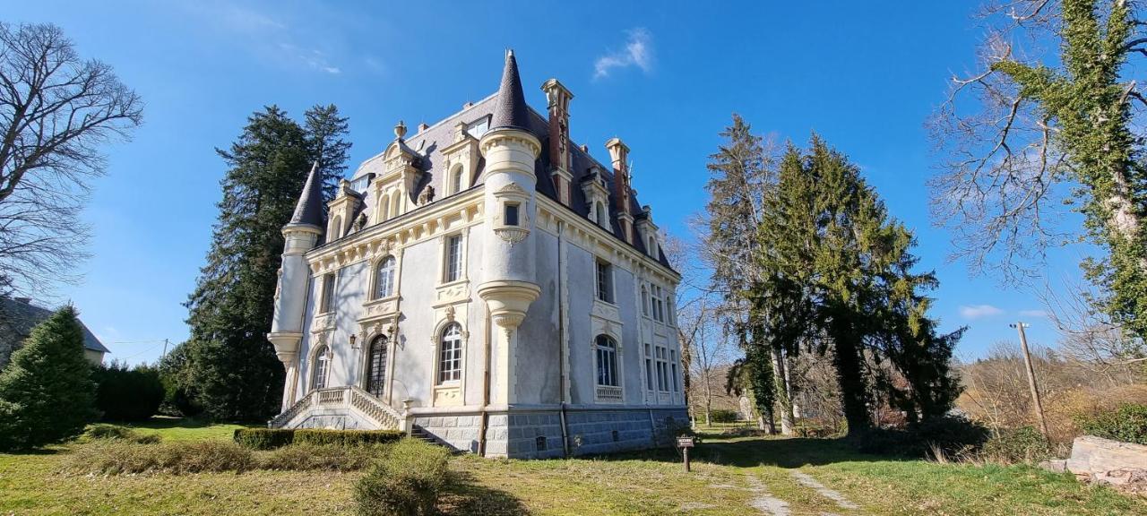 Chateau De Chazelpaud Saint-Bard Exterior foto